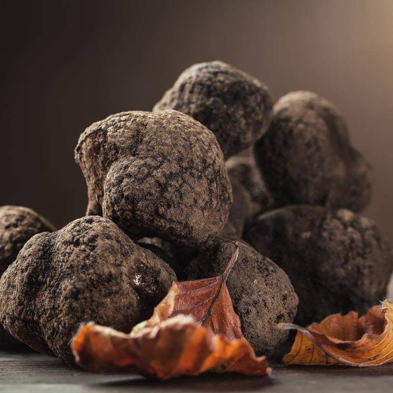 Tartufi